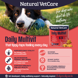 NAF NVC Daily Multi Vitamin Chew 50pk