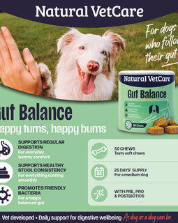 NAF NVC Gut Balance Chew 50pk