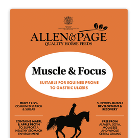 Allen & Page Muscle & Focus - Pre Order