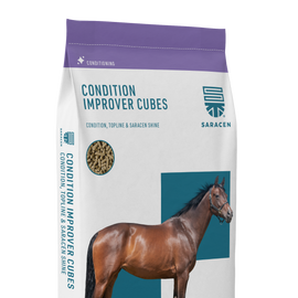 Saracen Condition-Improver Cubes 20kg