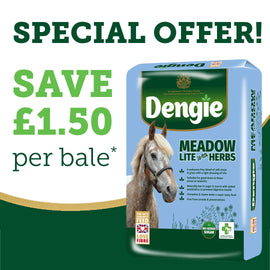 Dengie Meadow Lite with Herbs