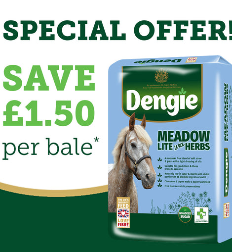 Dengie Meadow Lite with Herbs