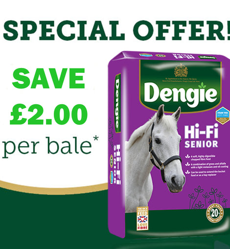 Dengie Hi-Fi Senior 20kg