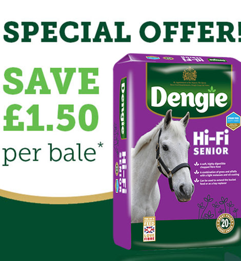 Dengie Hi-Fi Senior 20kg