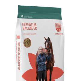 Saracen Essential Balancer 20kg