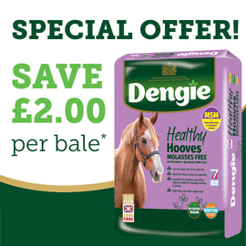 Dengie Healthy Hooves Molasses Free 20kg