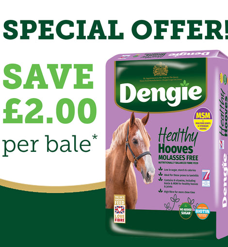 Dengie Healthy Hooves Molasses Free 20kg