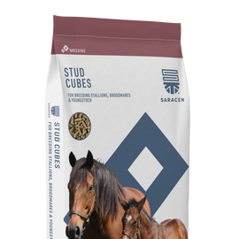 Saracen Stud Pencils/Cubes 20kg