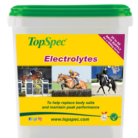 Topspec Electrolytes 3kg