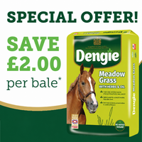 Dengie Meadow Grass with Herbs 15kg