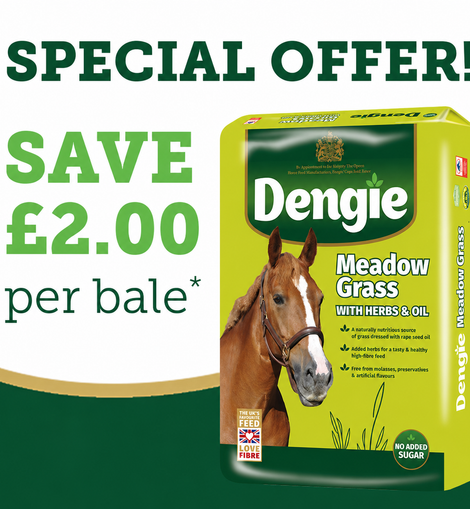 Dengie Meadow Grass with Herbs 15kg