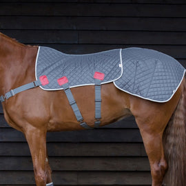 Equilibrium Therapy Magnetic Back and Quarters Pad