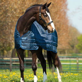 Horseware Pony Liner 200g 5ft