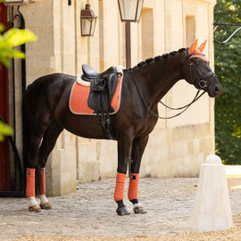 LeMieux Suede Dressage Square