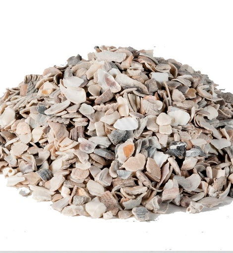 The Paddock Pantry Oyster Grit