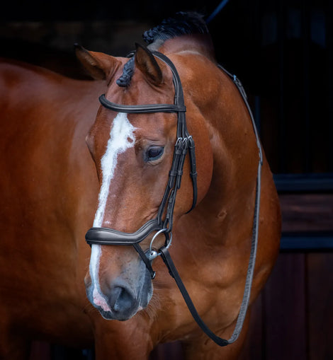 Shires Rapida Ergonomic Flash Bridle with Reins