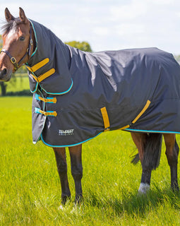 Shires Tempest Turnout Combo Rug 300g