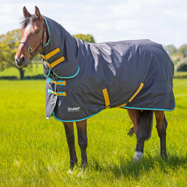 Shires Tempest Turnout Combo Rug 300g