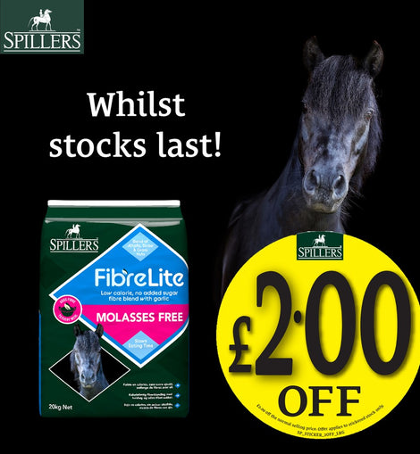 Spillers Fibre Lite Molasses Free 20kg