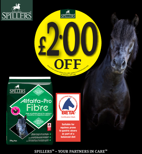 Spillers Alfalfa Pro Fibre 20kg