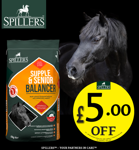 Spillers Supple + Senior Balancer 15kg