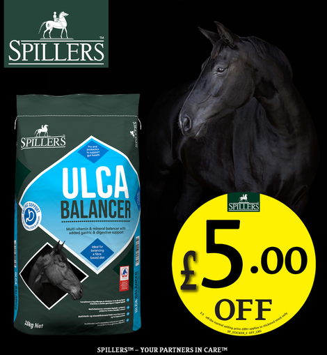 Spillers Ulca Balancer 15kg