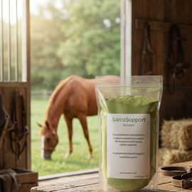 SarcoSupport Standard - 750g