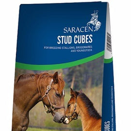Saracen Stud Pencils/Cubes 20kg