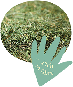 Graze On Original 15kg