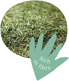 Graze On Original 15kg