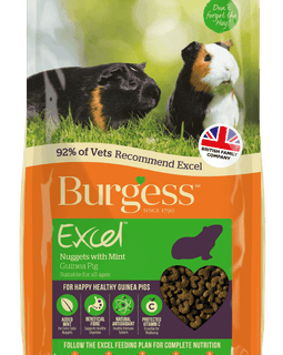 Burgess Excel Guinea Pig Nuggets Mint 1.5kg